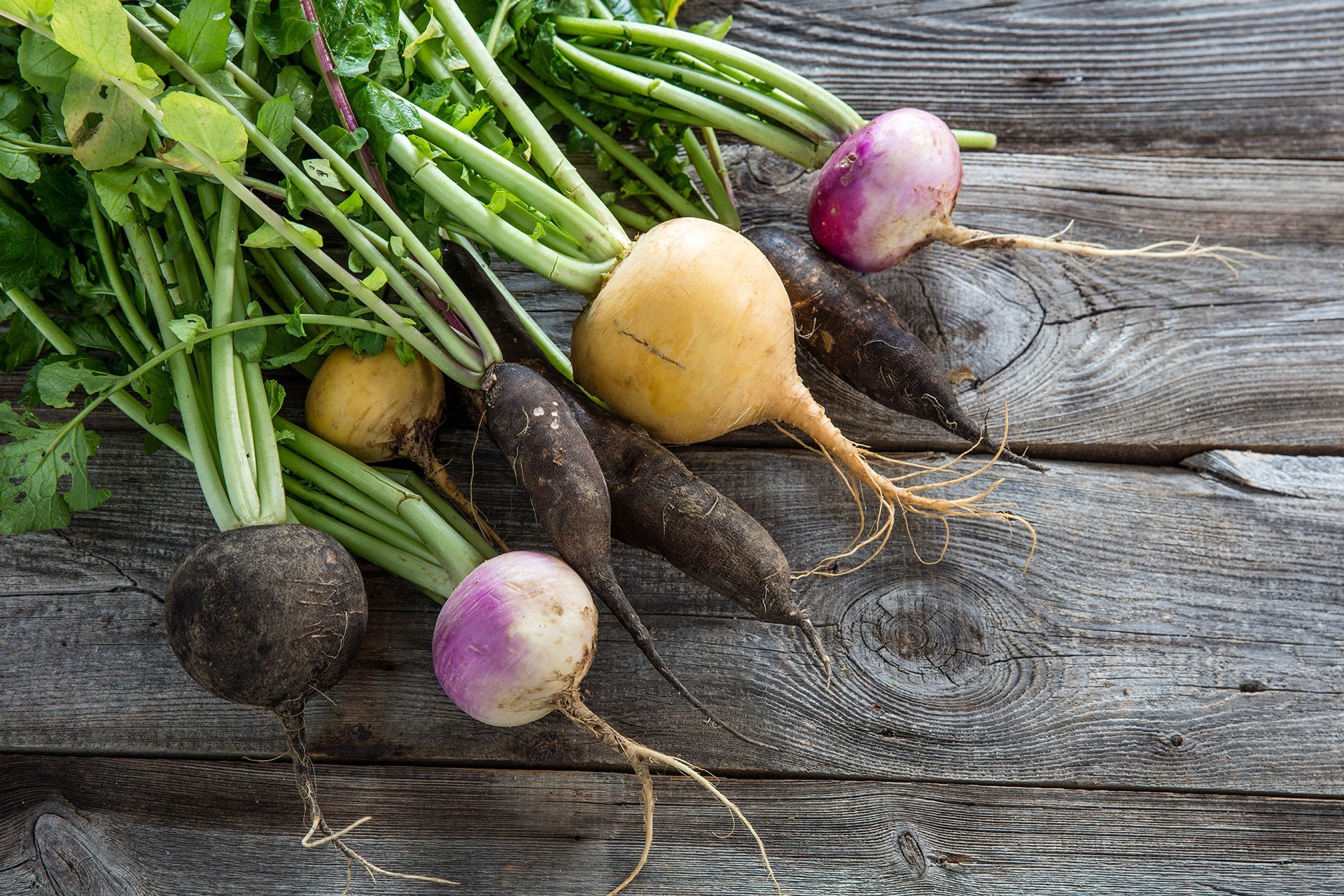 Légumes racines